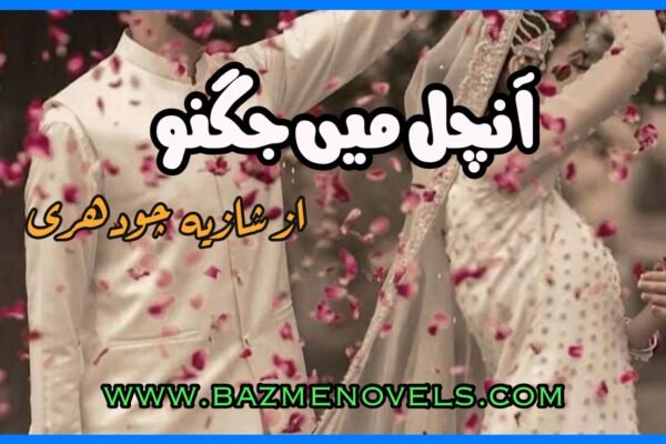 Aanchal Main Jungoo By Shazia Chaudhary
