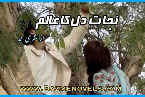 Nijat e Dil Ka Alam By Bushra Ahmed