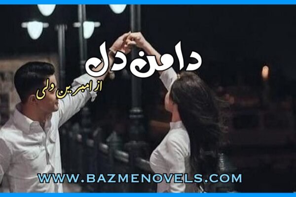 Daman e Dil By Ambreen Wali